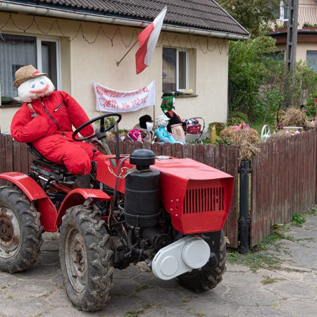 Wyświetl org. rozmiar