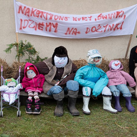 Wyświetl org. rozmiar