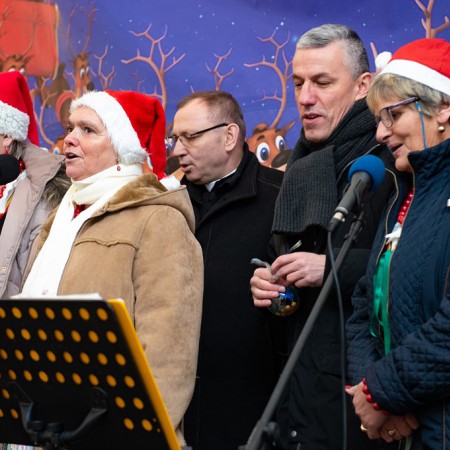Wyświetl org. rozmiar