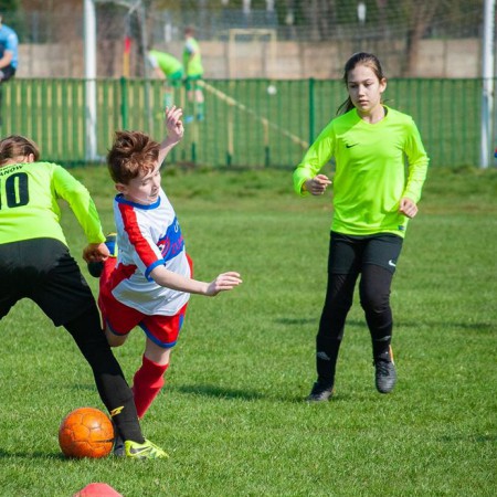 Wyświetl org. rozmiar