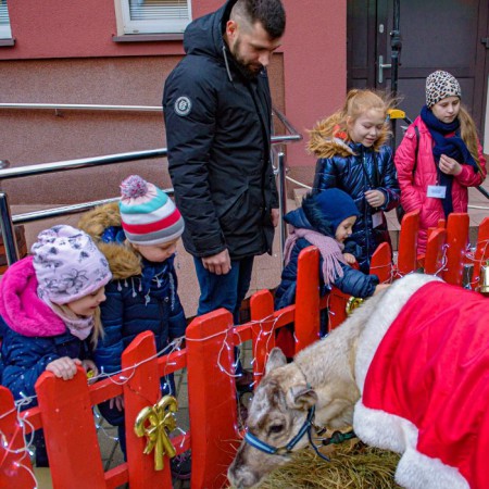 Wyświetl org. rozmiar