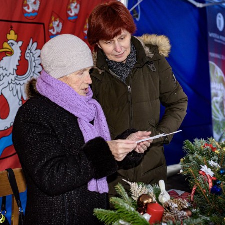 Wyświetl org. rozmiar