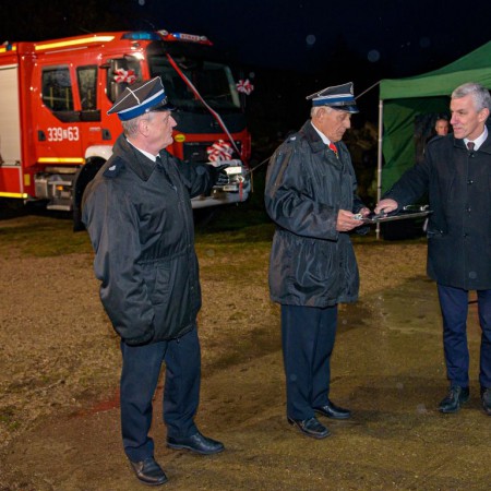 Wyświetl org. rozmiar
