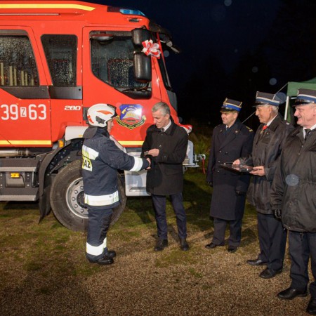 Wyświetl org. rozmiar