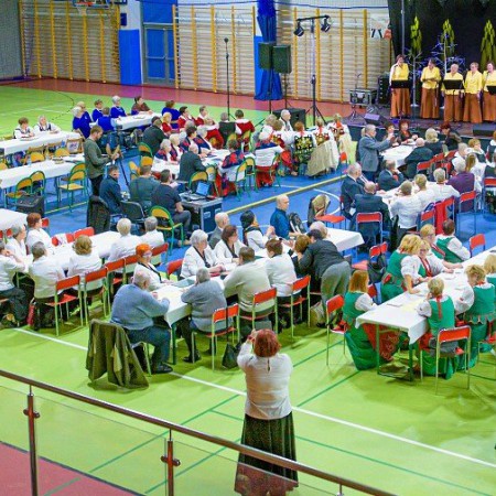 Wyświetl org. rozmiar
