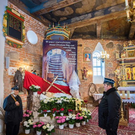 Wyświetl org. rozmiar