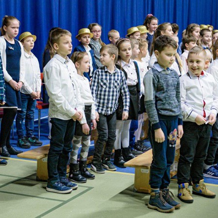 Wyświetl org. rozmiar