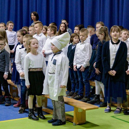 Wyświetl org. rozmiar