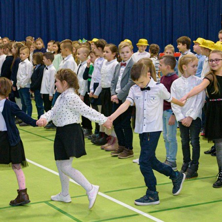 Wyświetl org. rozmiar
