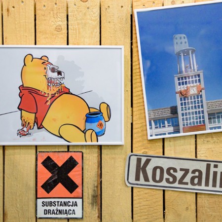 Wyświetl org. rozmiar