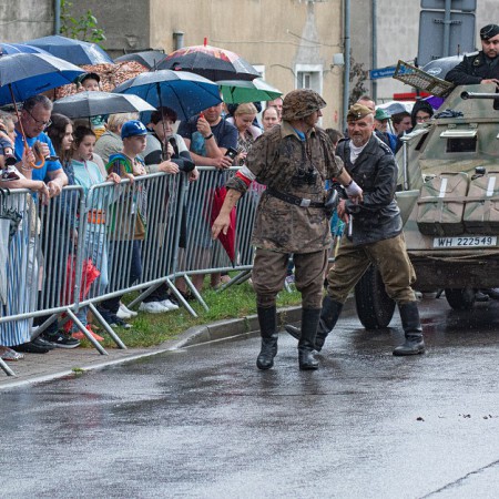 Wyświetl org. rozmiar