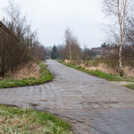 Wyświetl org. rozmiar