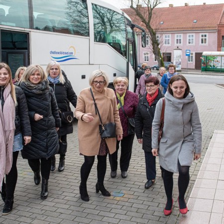 Wyświetl org. rozmiar