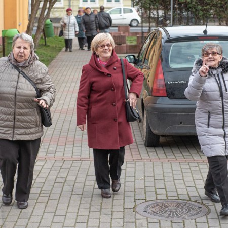 Wyświetl org. rozmiar
