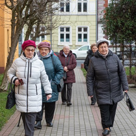 Wyświetl org. rozmiar