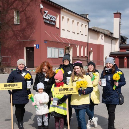 Wyświetl org. rozmiar