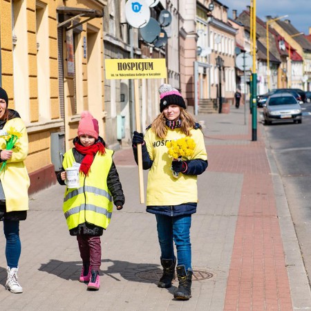 Wyświetl org. rozmiar