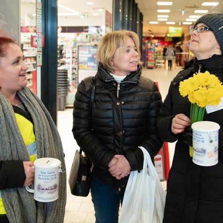 Wyświetl org. rozmiar