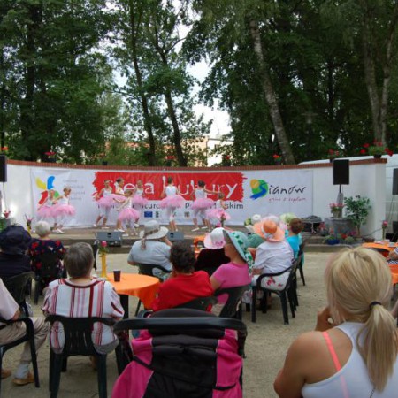 Wyświetl org. rozmiar