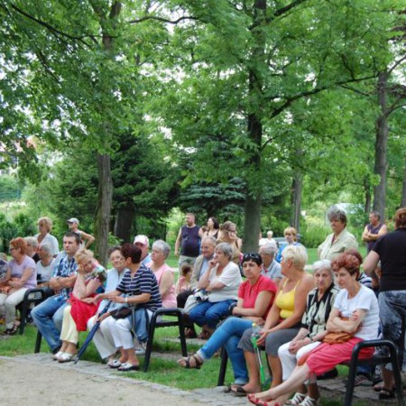 Wyświetl org. rozmiar