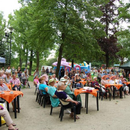 Wyświetl org. rozmiar