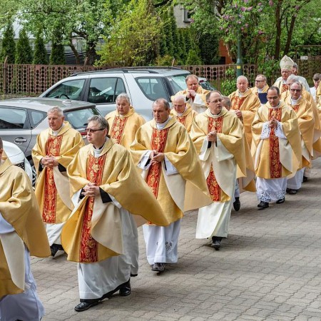 Wyświetl org. rozmiar