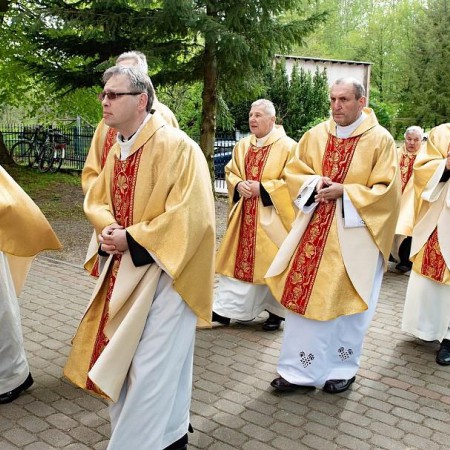 Wyświetl org. rozmiar