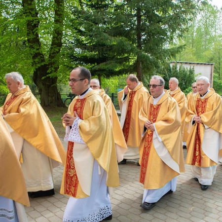 Wyświetl org. rozmiar