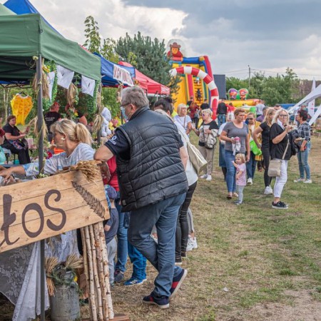 Wyświetl org. rozmiar