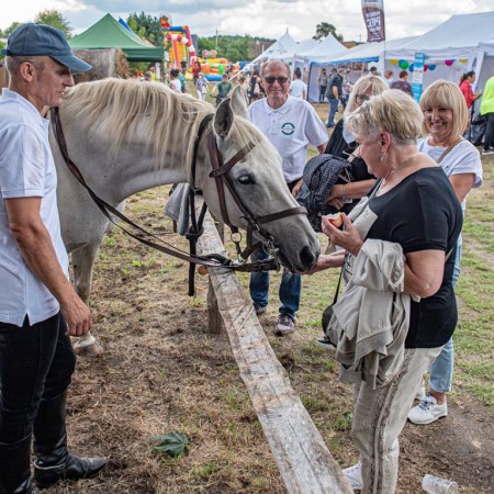 Wyświetl org. rozmiar