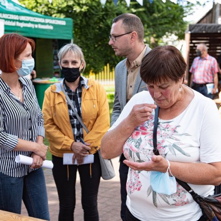 Wyświetl org. rozmiar