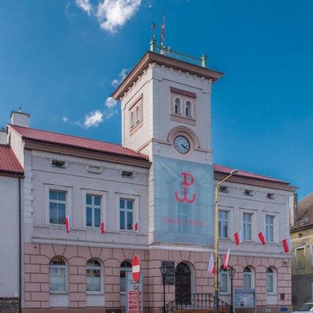 Wyświetl org. rozmiar