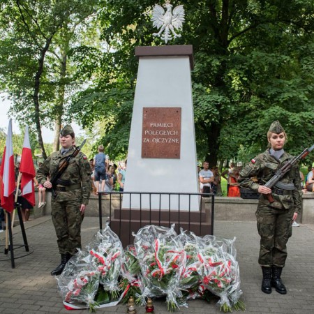 Wyświetl org. rozmiar