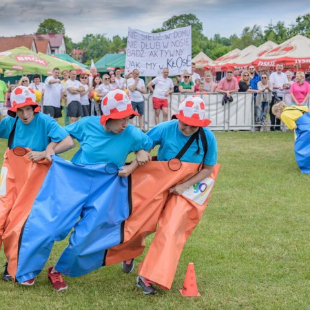 Wyświetl org. rozmiar