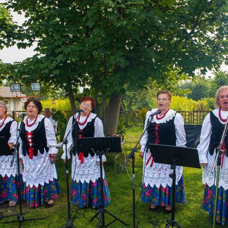 Wyświetl org. rozmiar