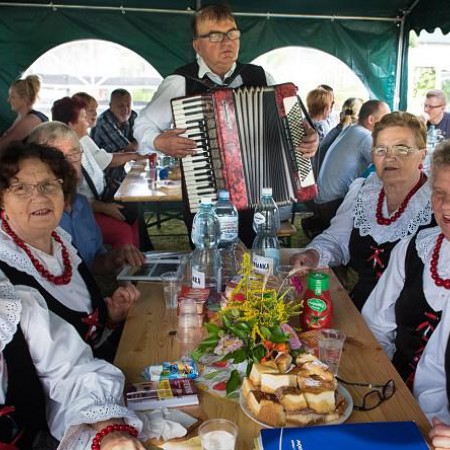 Wyświetl org. rozmiar