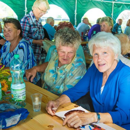 Wyświetl org. rozmiar