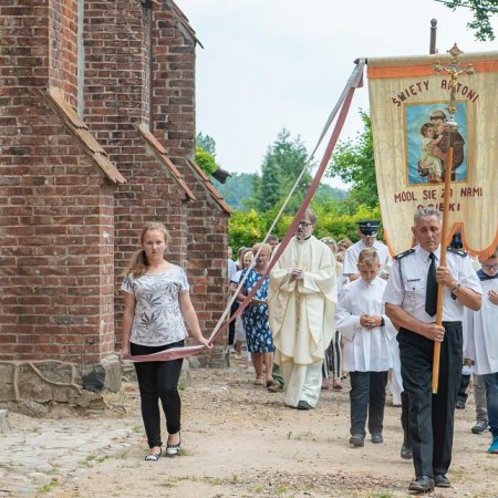 Wyświetl org. rozmiar