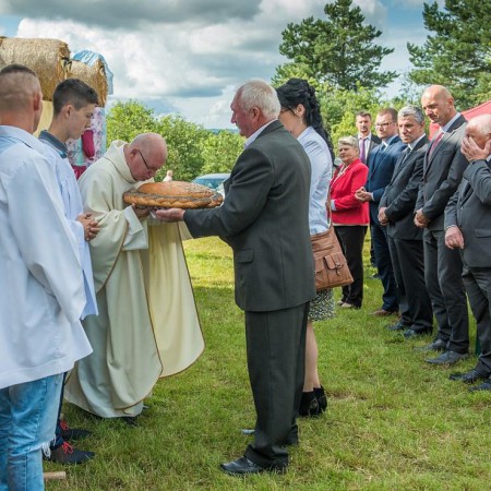 Wyświetl org. rozmiar