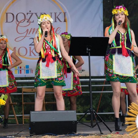 Wyświetl org. rozmiar