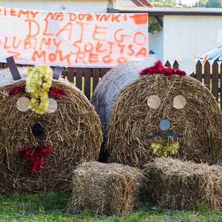 Wyświetl org. rozmiar