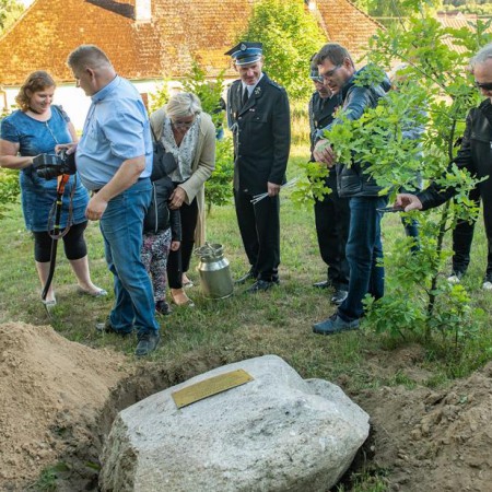 Wyświetl org. rozmiar