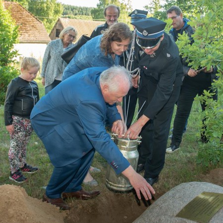 Wyświetl org. rozmiar