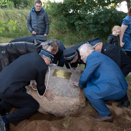 Wyświetl org. rozmiar