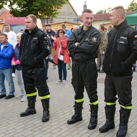 Wyświetl org. rozmiar