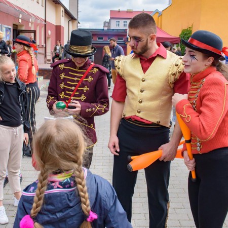 Wyświetl org. rozmiar