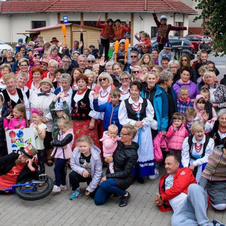 Wyświetl org. rozmiar