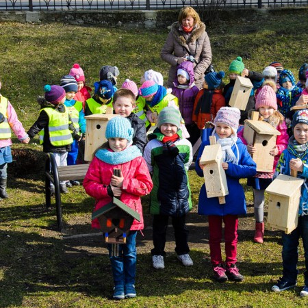 Wyświetl org. rozmiar