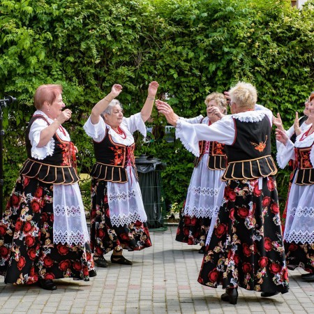 Wyświetl org. rozmiar