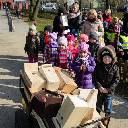 Wyświetl org. rozmiar